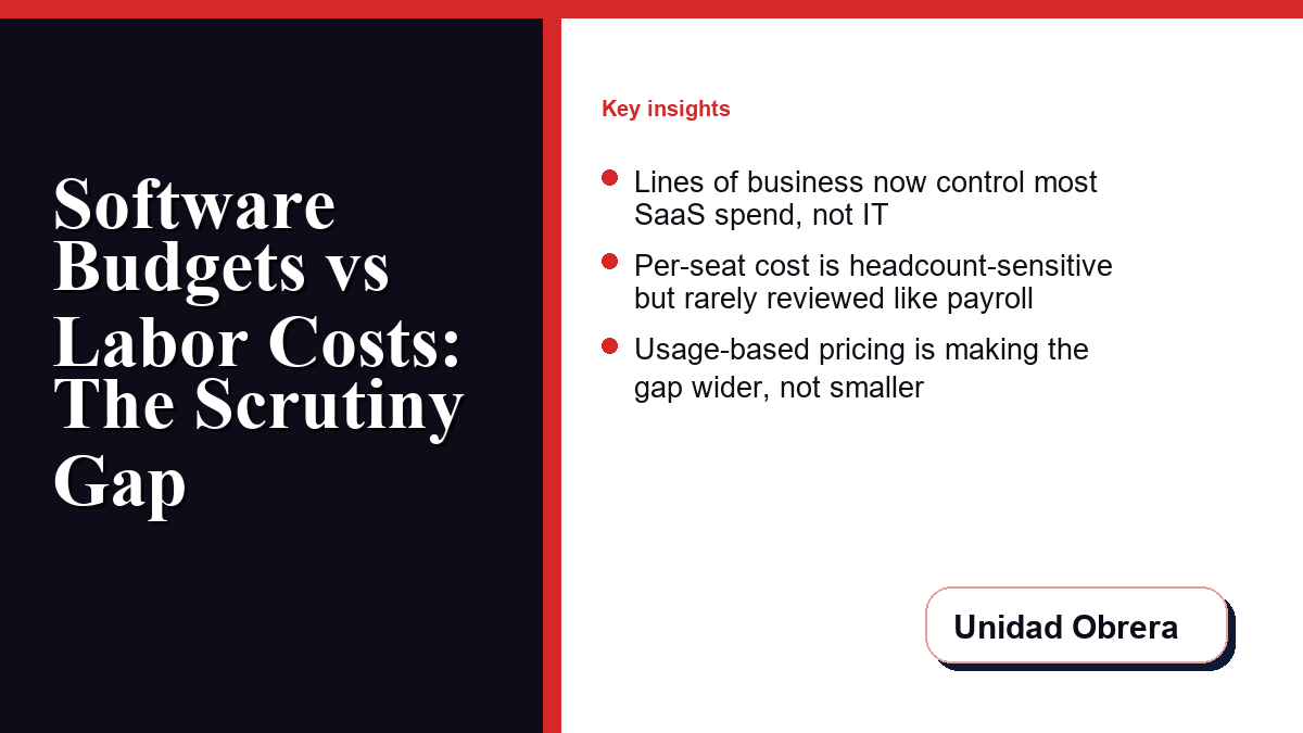 Software budgets versus labor costs: the scrutiny gap